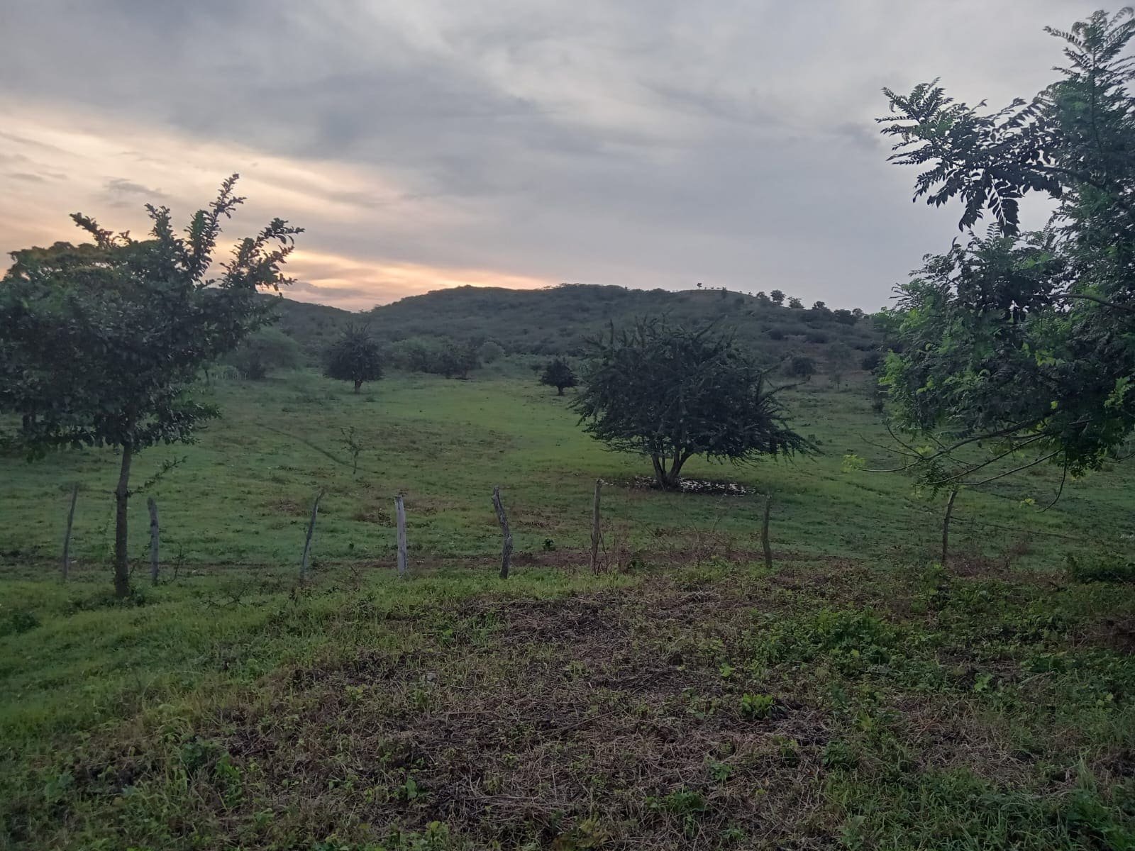 Zona 2 del terreno del proyecto agropecuario