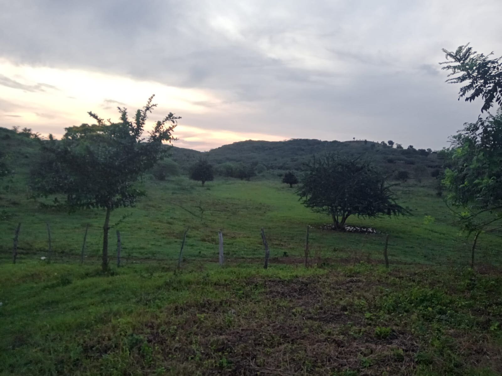 Zona 3 del terreno del proyecto agropecuario