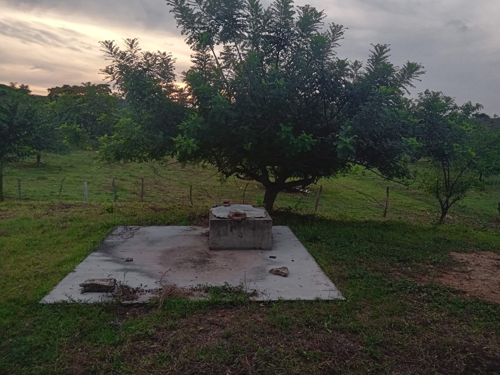 Zona 4 del terreno del proyecto agropecuario