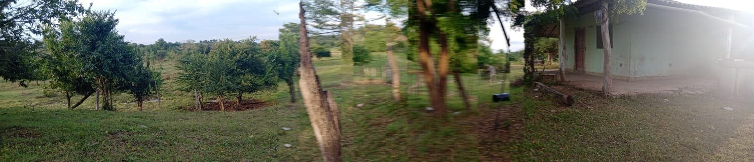 Zona 7 del terreno del proyecto agropecuario